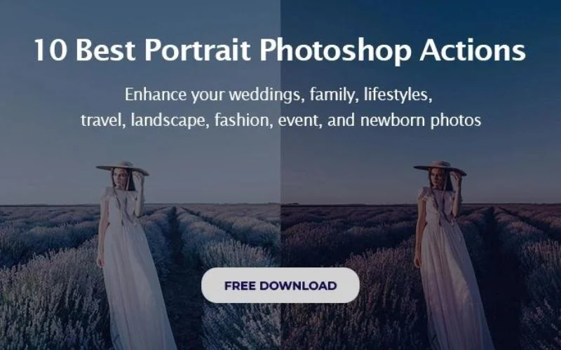 freebie banner for blog