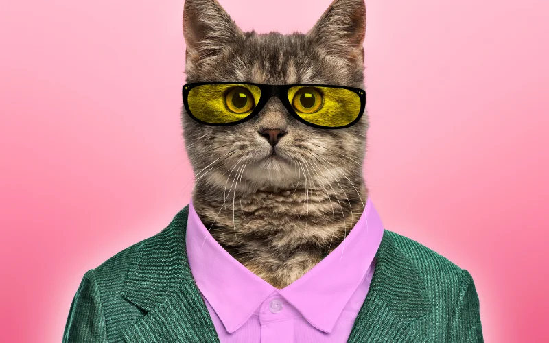 what is Midjourney AI - AI art of a cat