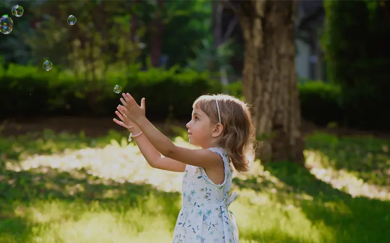 memorial day flag png before