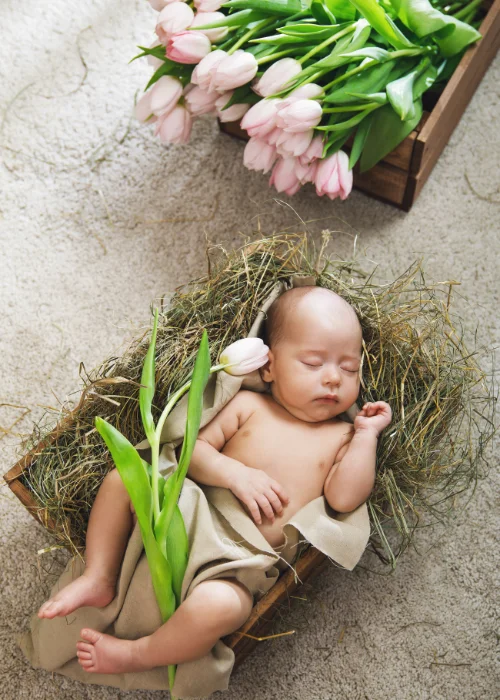 baby in a bird nest, Easter newborn photo shoot, Easter baby photography, Easter-themed newborn photos, Easter newborn props, Easter bunny baby photos