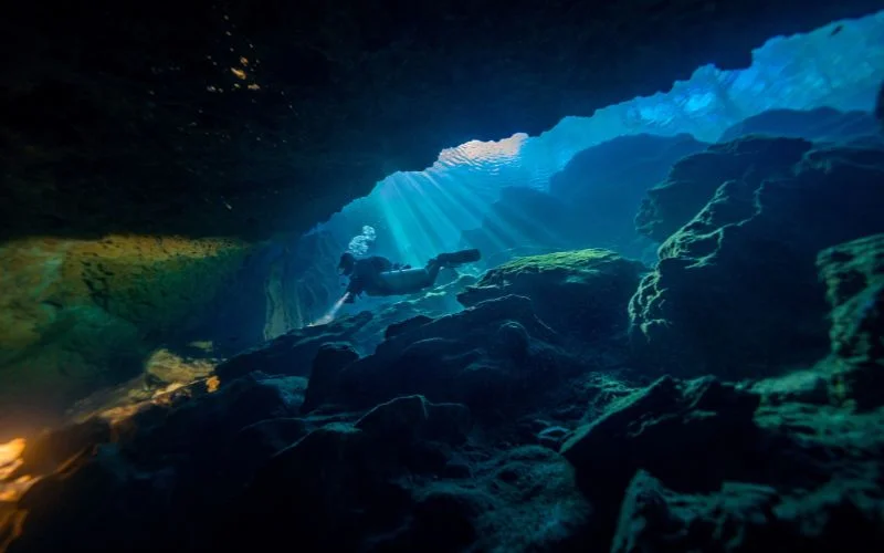 journey of kimber greenwood into the realm of photography