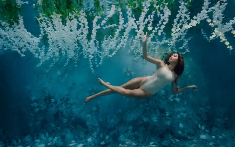 stunning shots by the best underwater photographer