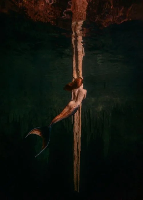 stunning shots taken by kimber