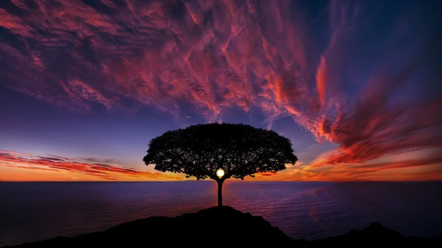 perfectly timed pictures