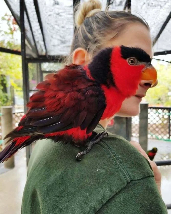 woman posing with a bird - perfectly timed photos funny