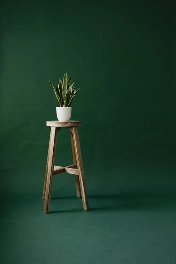 Plain Colored Background