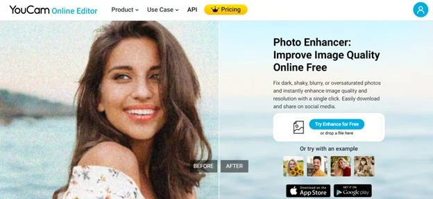 YouCam Online Editor, Online Photo Editor