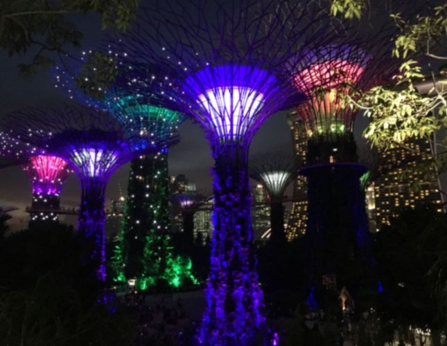 fix out of focus picture, blurred image, unclear image