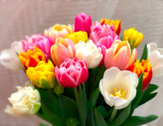 before editing with un-blur tool, blurred image