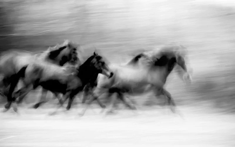 learn the history of time lapse photography