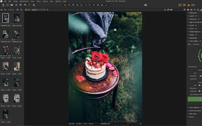 capture one preview of photo retouching software