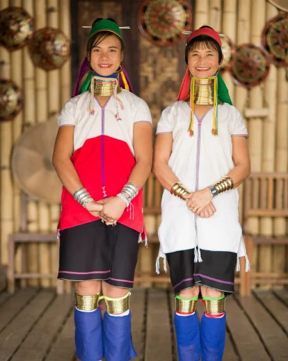 woman wearing neck ring