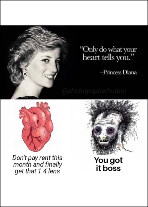 photography memes, relatable memes, photographers struggle