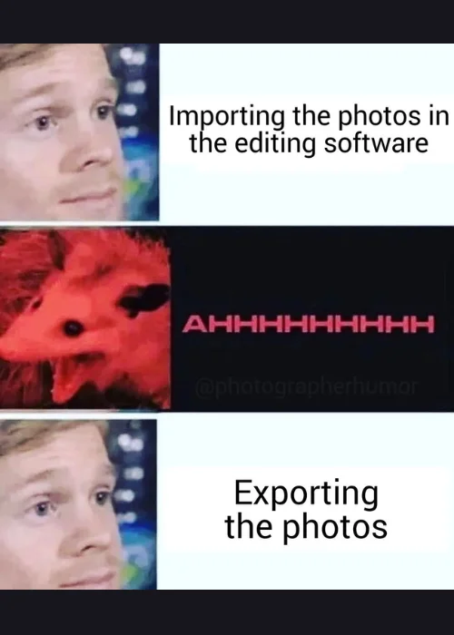 photographers meme, funny photographer memes, professional photographer meme, funny photography memes, funny camera memes, funny memes to brighten your day, memes for photographers, funny camera meme