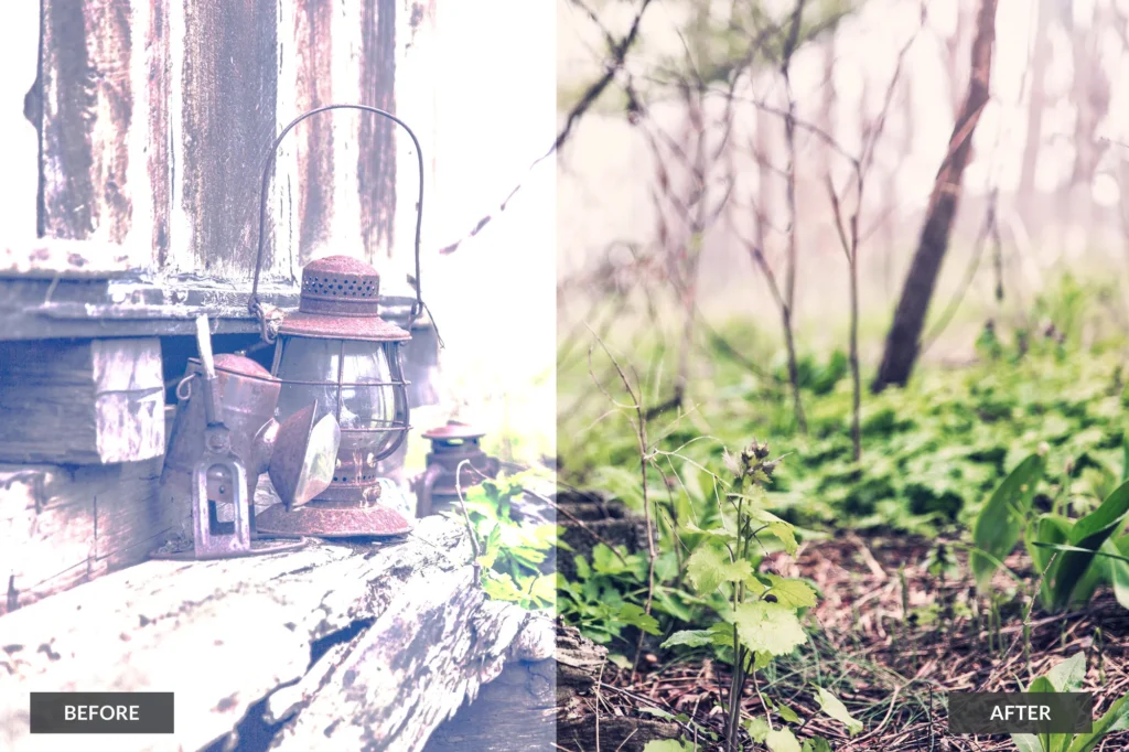 nature photoshop actions