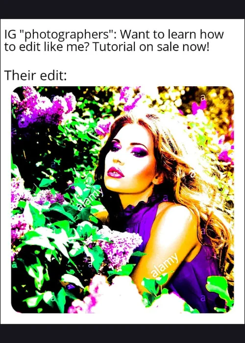 photographers meme, funny photographer memes, professional photographer meme, funny photography memes, funny camera memes, funny memes to brighten your day, memes for photographers, funny camera meme