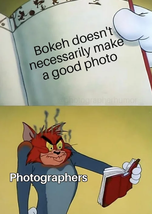 photographers meme, funny photographer memes, professional photographer meme, funny photography memes, funny camera memes, funny memes to brighten your day, memes for photographers, funny camera meme