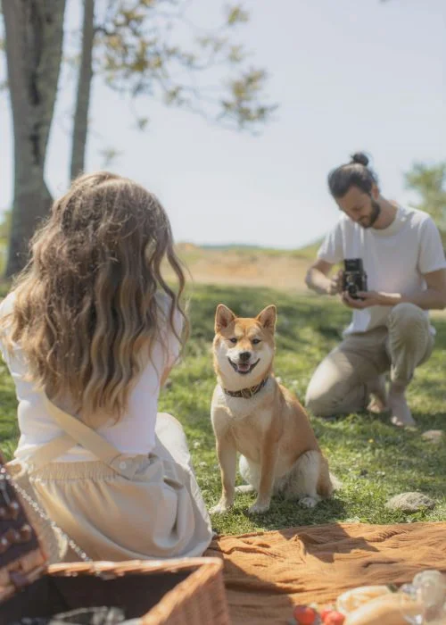 capture memorable shots with your pets