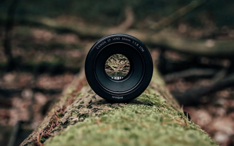 Depth of Field in photograph