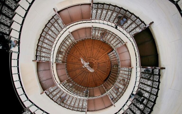 Form in photography banner