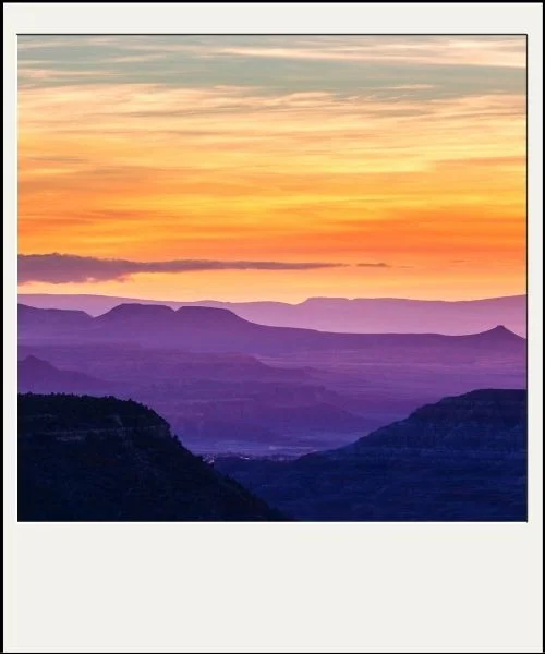 polaroid photography