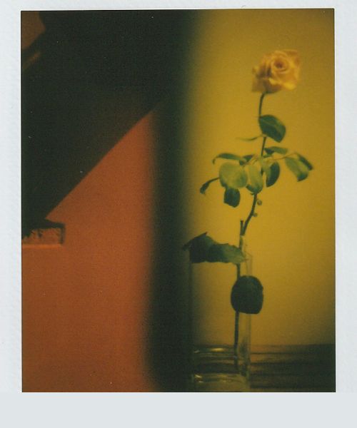 polaroid photo ideas: Pantone Color
