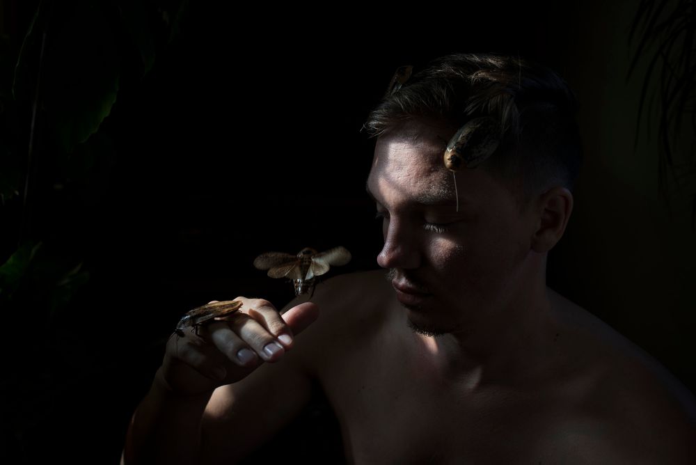 definition of form in photography