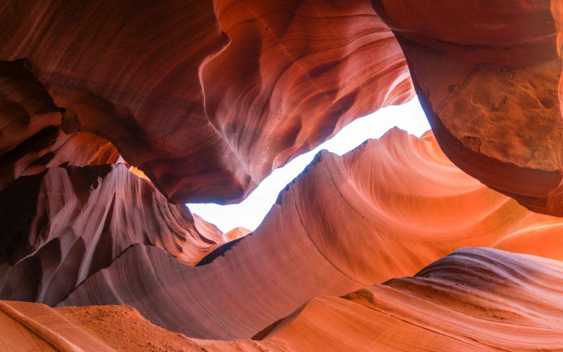 definition of form in photography