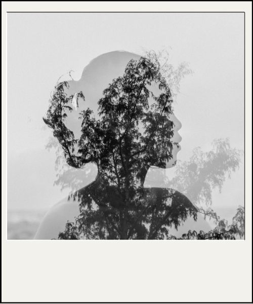 ideas for polaroid photos