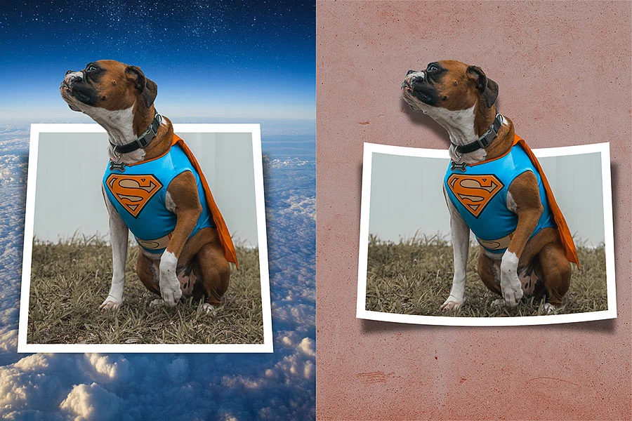 artistic photo actions