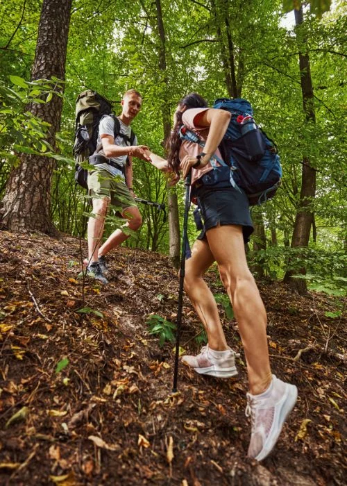 Group of hikers climbing a forest trail with backpacks and trekking poles during an outdoor adventure.