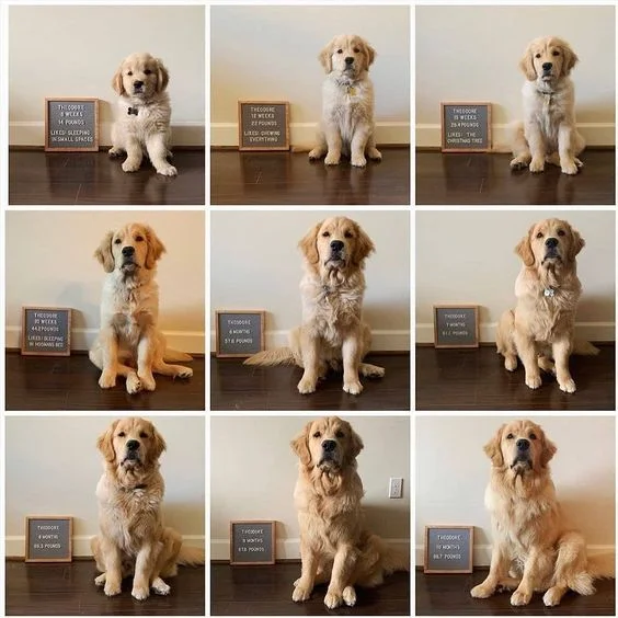 narrative photography series