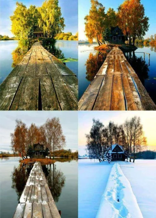 one frame different season