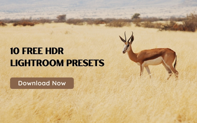 Free HDR Lightroom Presets Freebie Banner