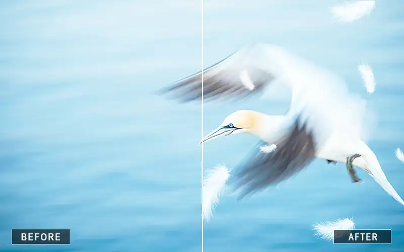 Best White Feature Overlays