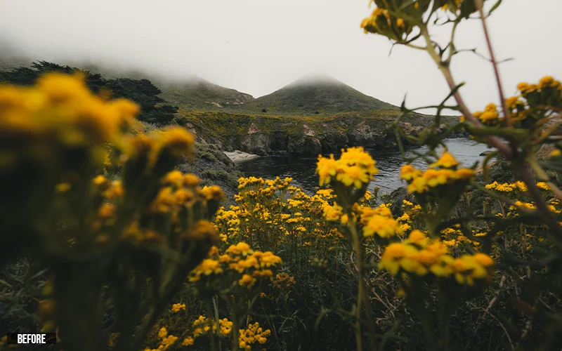 before editing with dark black and white luts, classic black and white luts