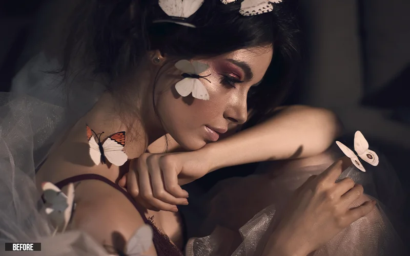 BEFORE Black and white lightroom presets