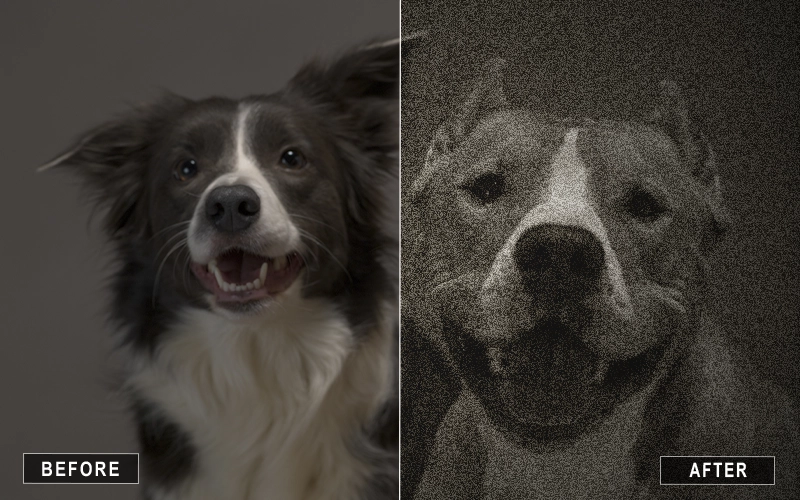 Monochrome conversion using black & white Photoshop actions