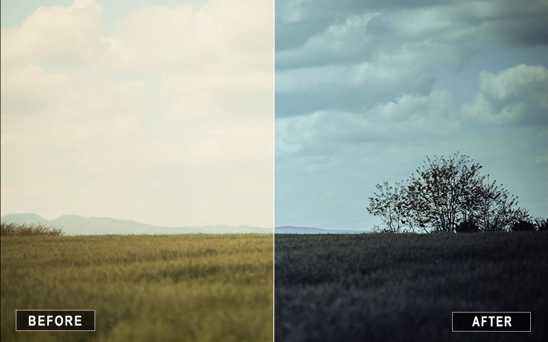 breezy landscape lightroom presets