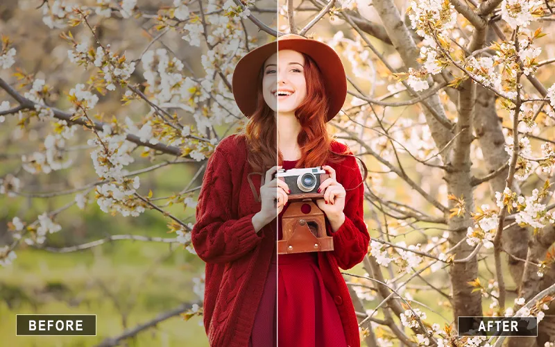 Camera Raw Vintage Presets