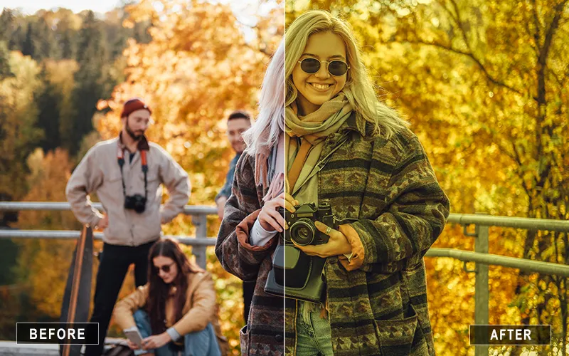 Film Camera Raw Presets