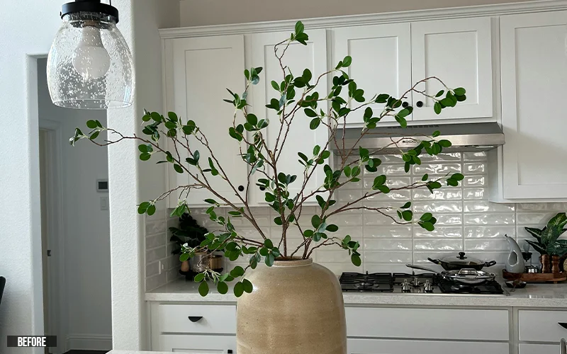 photo of an indoor plant