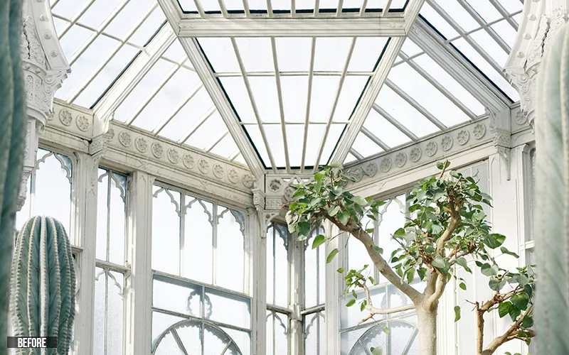 photo of a greenhouse