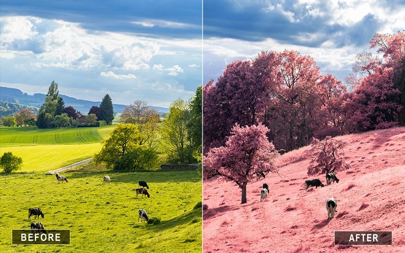 Before and after using Landscape Photoshop Actions to enhance colors, depth
