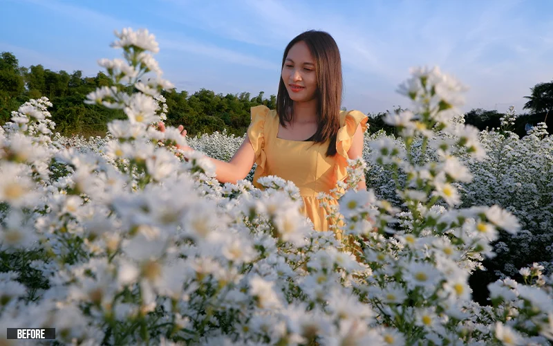 photo before editing camera raw presets