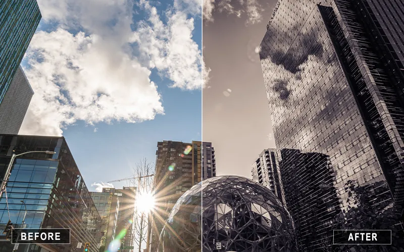 Urban Black Tone Camera Raw Presets