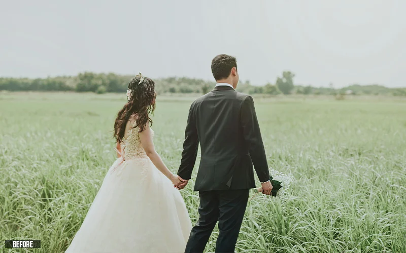 wedding LUT presets collection