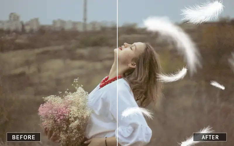 Light and Airy White Feather Overlay