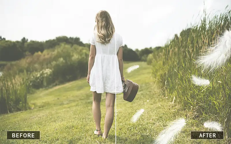 Soft White Feather Overlay