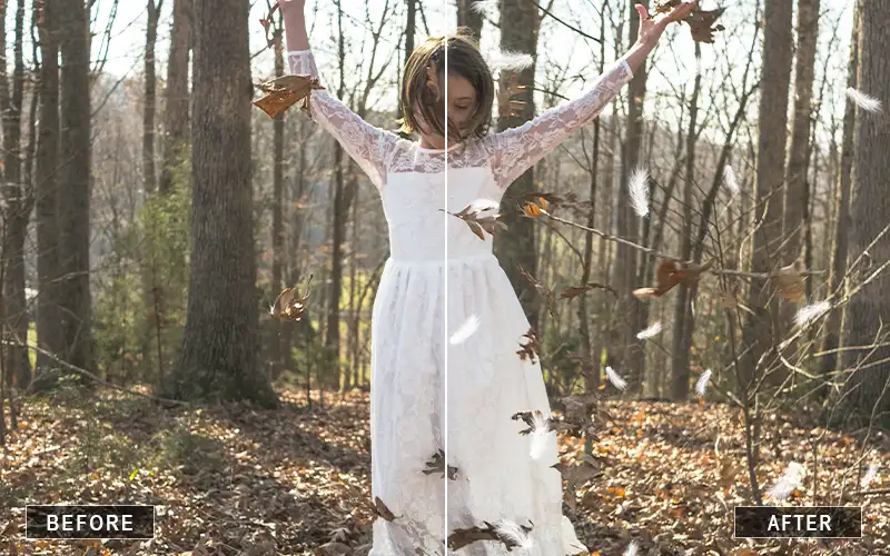 Faded White Feather Overlay